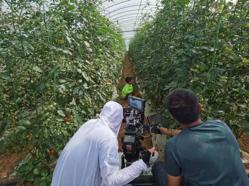 雨花区产品宣传视频拍摄公司进阶指南，助力品牌抢占传播高地